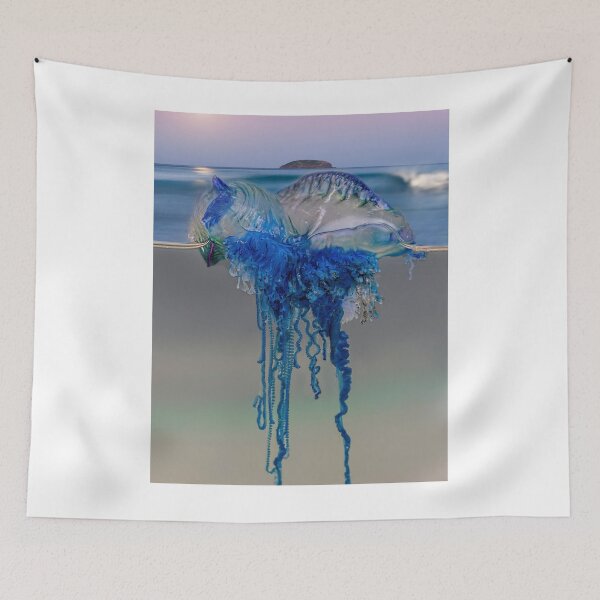 Item preview, Portuguese man o' war (Physalia physalis) Bottle Jelly Fish designed and sold by Normf.