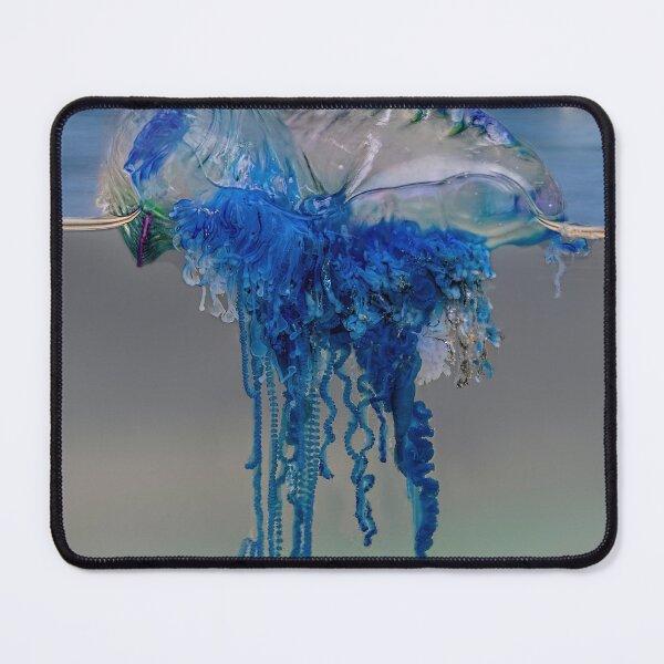Item preview, Portuguese man o' war (Physalia physalis) Bottle Jelly Fish designed and sold by Normf.