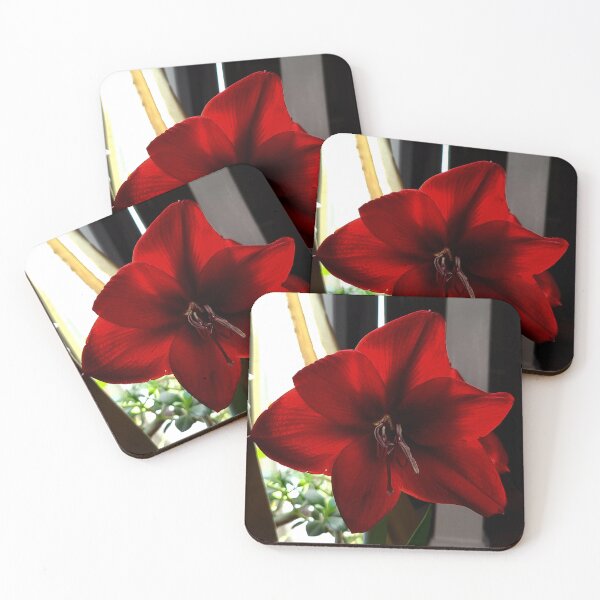 Item preview, The amaryllis brightens the Christmas celebration.  designed and sold by bobewing.