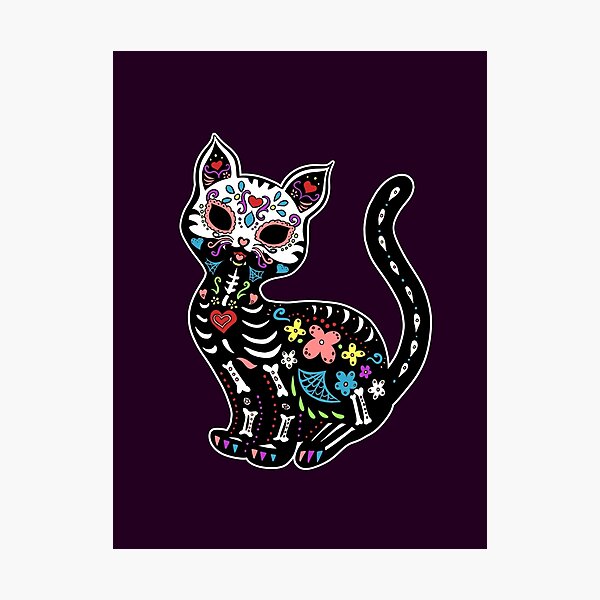 Dia de los Gatos Photographic Print