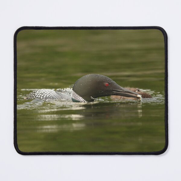 Item preview, Father loon fisherman designed and sold by locustgirl.