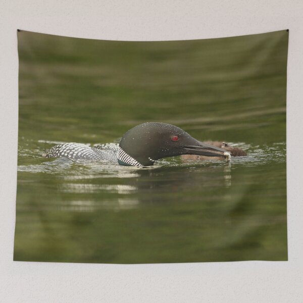 Item preview, Father loon fisherman designed and sold by locustgirl.