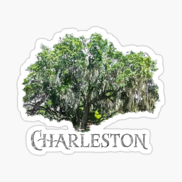 Item preview, Charleston, SC - Live Oak with Moss Sticker designed and sold by Frog Level Treasures.