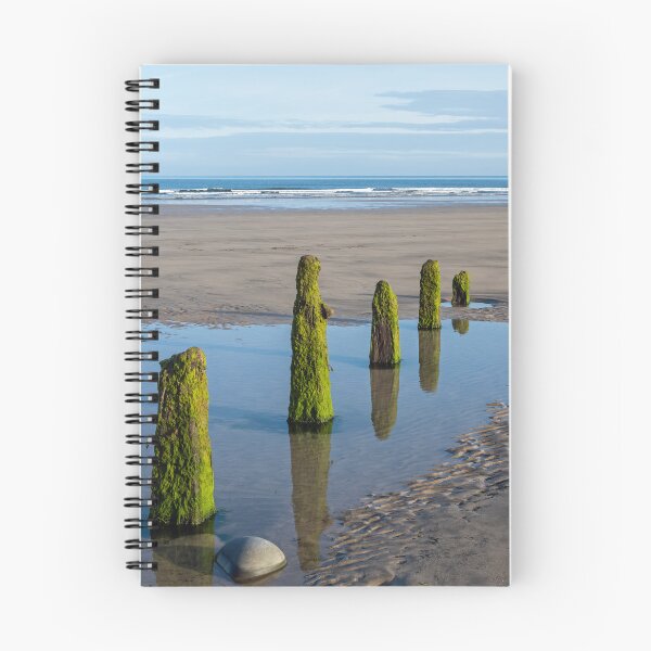 Item preview, Moss-covered Beach Groynes at Westward Ho designed and sold by twymanphoto.
