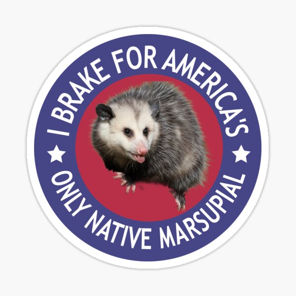 Item preview, I Brake For America's Only Native Marsupial Funny Possum Circle Bumper  designed and sold by Burpishop.