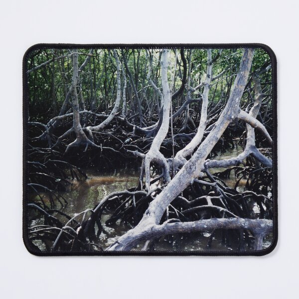 Item preview, Mangroves Swamp Coastal Tropical Trees, Brazil designed and sold by worldways.