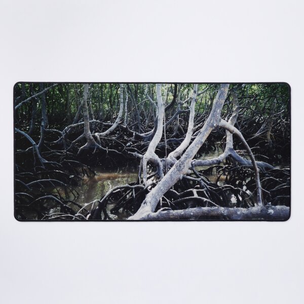 Item preview, Mangroves Swamp Coastal Tropical Trees, Brazil designed and sold by worldways.