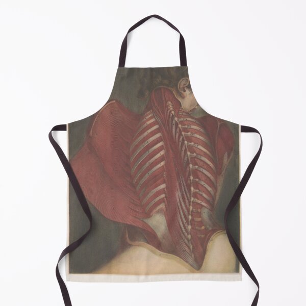 Item preview, Anatomical representation of the back Scientific Medical Illustration designed and sold by Lacasadellora.