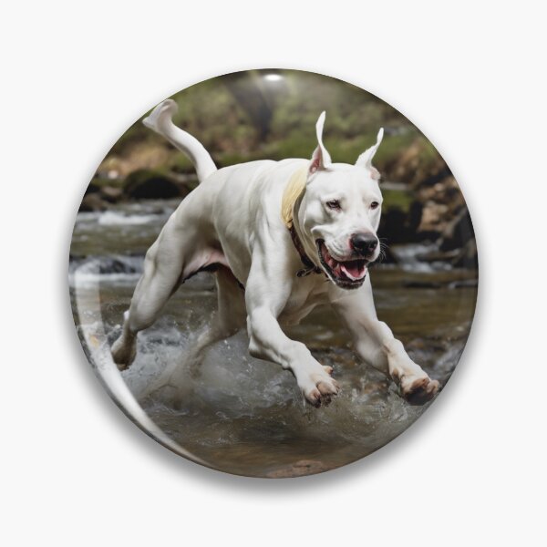 Aperçu de l'œuvre Besoins d'exercice du Dogo Argentino créée et vendue par andrew758.