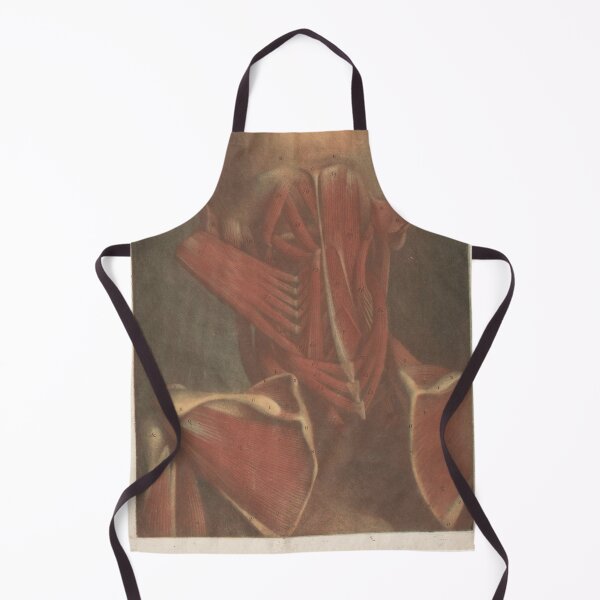 Item preview, Male head showing the muscles Scientific Medical Illustration designed and sold by Lacasadellora.