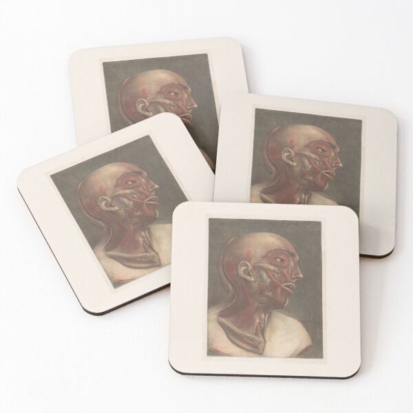 Item preview, Male head with muscles visible Scientific Medical Illustration designed and sold by Lacasadellora.