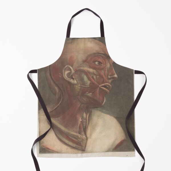 Item preview, Male head with muscles visible Scientific Medical Illustration designed and sold by Lacasadellora.