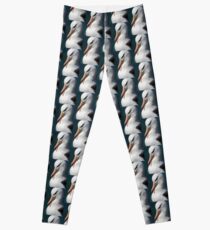 Black-browed Albatross - Saunders Island, the Falklands Leggings