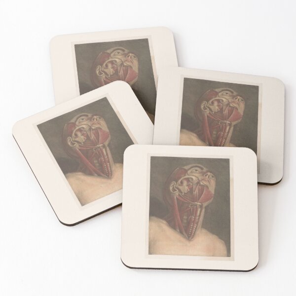 Item preview, Male head with details Scientific Medical Illustration designed and sold by Lacasadellora.