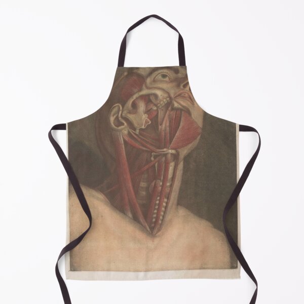 Item preview, Male head with details Scientific Medical Illustration designed and sold by Lacasadellora.