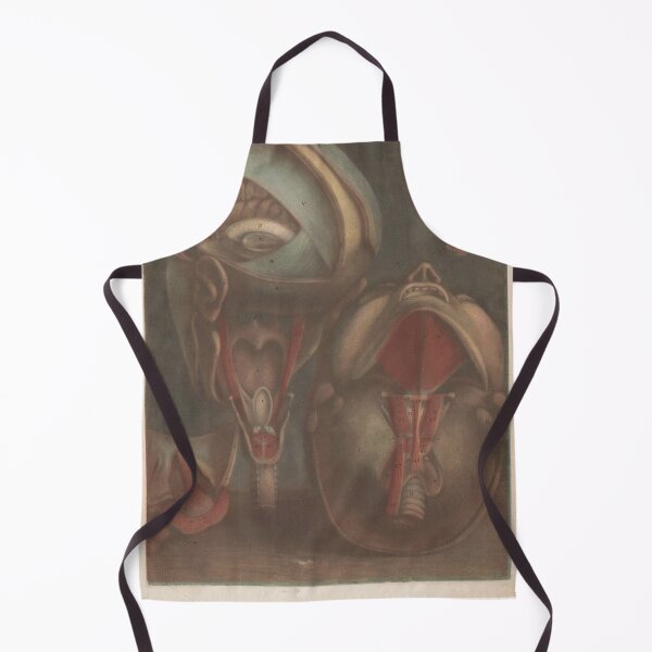 Item preview, Heads with the veins visible Scientific Medical Illustration designed and sold by Lacasadellora.