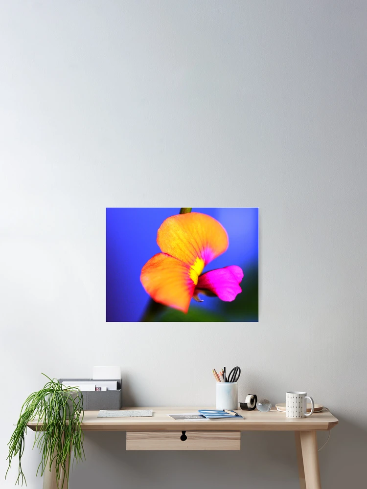Thumbnail 2 of 3, Poster, Exquisite designed and sold by Coloursofnature.