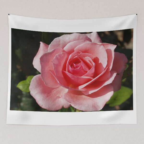 Item preview, Feminine triumph designed and sold by B. Randi Bailey.