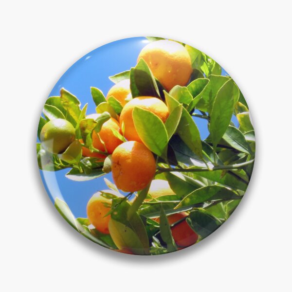 Item preview, Oranges designed and sold by supernova23.