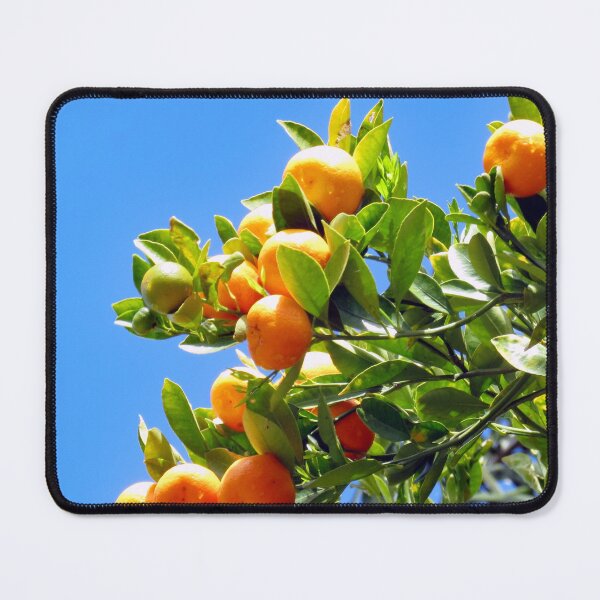 Item preview, Oranges designed and sold by supernova23.