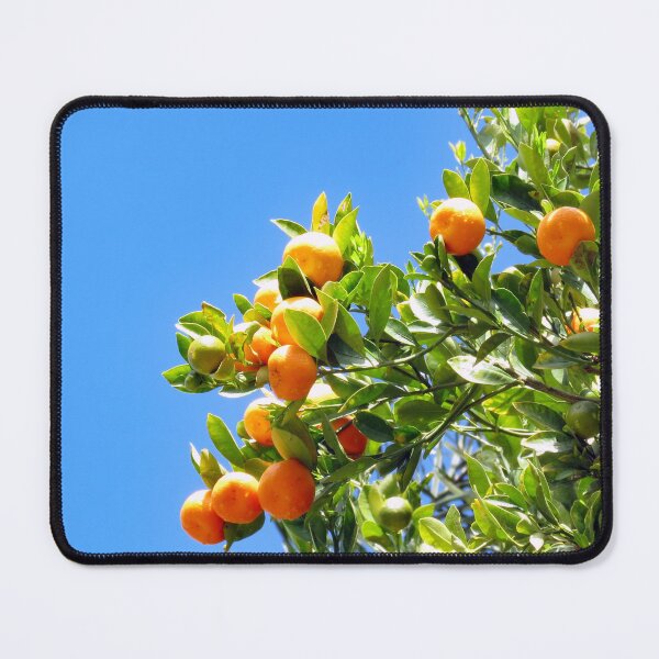 Item preview, Oranges designed and sold by supernova23.