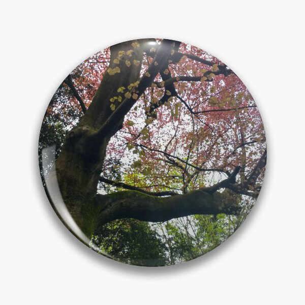Item preview, #352 |☼| Red To Green Leaf Hues (Matlock Bath) designed and sold by Naean H.F. (Nez Man).
