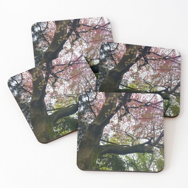 Item preview, #352 |☼| Red To Green Leaf Hues (Matlock Bath) designed and sold by Naean H.F. (Nez Man).