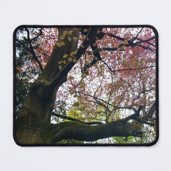 Item preview, #352 |☼| Red To Green Leaf Hues (Matlock Bath) designed and sold by Naean H.F. (Nez Man).