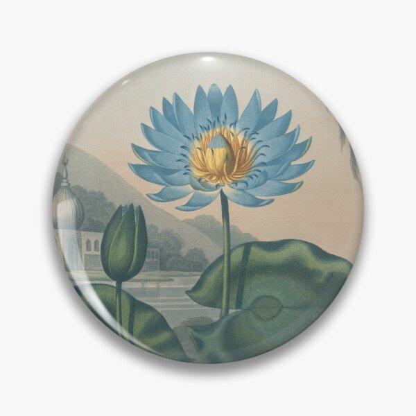 Artikelvorschau, Blaue ägyptische Seerose, 1807 Gravur Druckdesign entworfen und verkauft von cheeseburgercat.