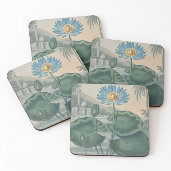 Item preview, Blue Egyptian Water Lily, 1807 engraving print design designed and sold by cheeseburgercat.