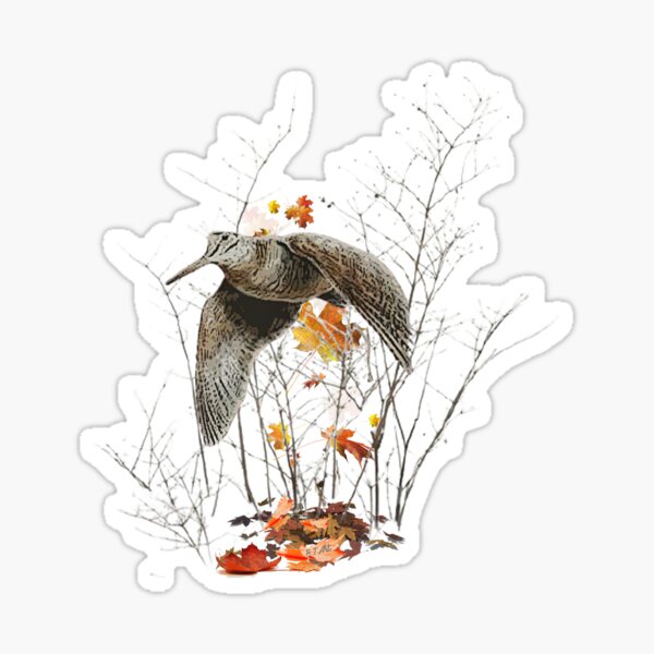 Item preview, Woodcock , Art  designed and sold by TammyHunterArt.