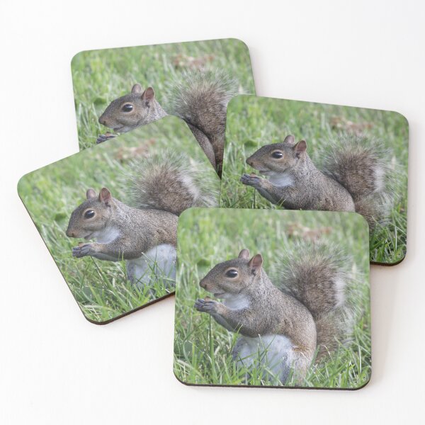Item preview, Squirrel Snack designed and sold by Tiny Kentucky.