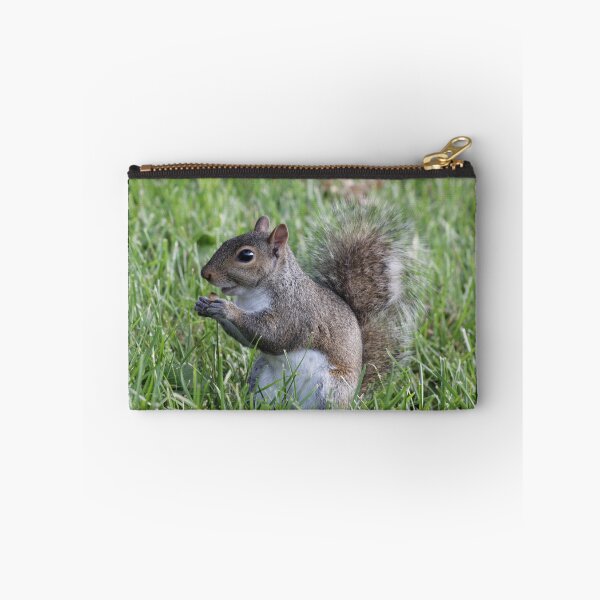 Item preview, Squirrel Snack designed and sold by Tiny Kentucky.