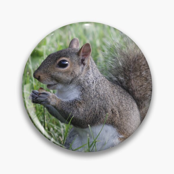 Item preview, Squirrel Snack designed and sold by Tiny Kentucky.