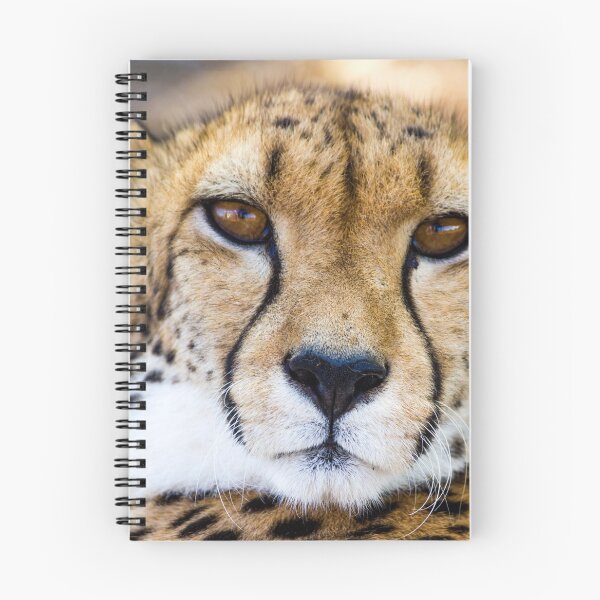Item preview, Cool African Leopard Photography designed and sold by ridthestigma.