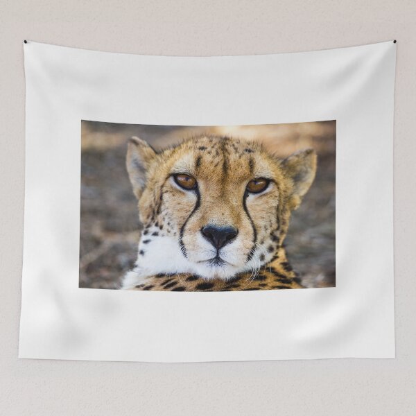 Item preview, Cool African Leopard Photography designed and sold by ridthestigma.