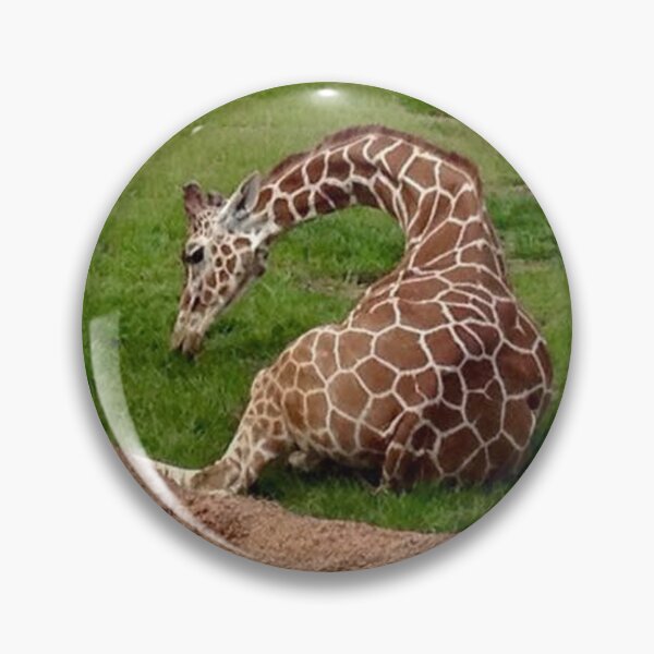 Item preview, Snackin' Giraffe designed and sold by Jesse-Motzart.