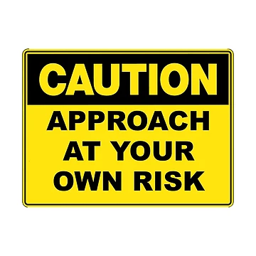 Artwork thumbnail, Caution: Approach At Your Own Risk by RuthandRose