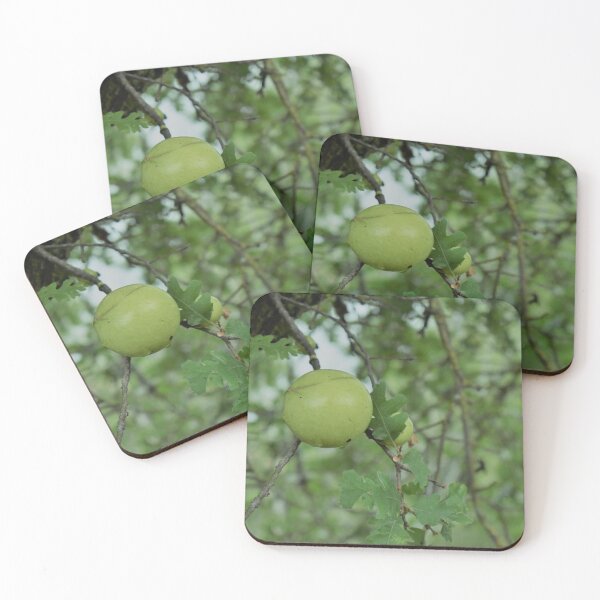 Item preview, Black Walnut Tree designed and sold by MangoSeeds.