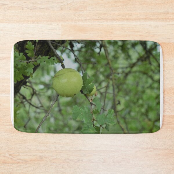 Item preview, Black Walnut Tree designed and sold by MangoSeeds.