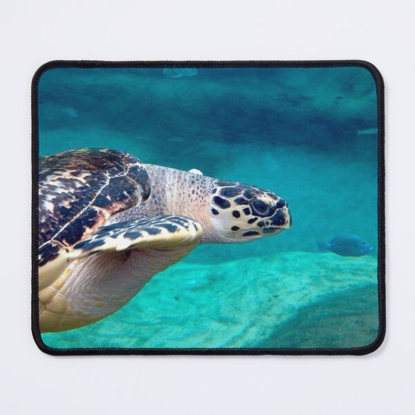Item preview, Hawksbill Sea Turtle designed and sold by Jesse-Motzart.
