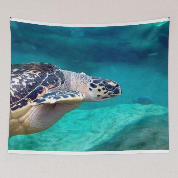 Item preview, Hawksbill Sea Turtle designed and sold by Jesse-Motzart.
