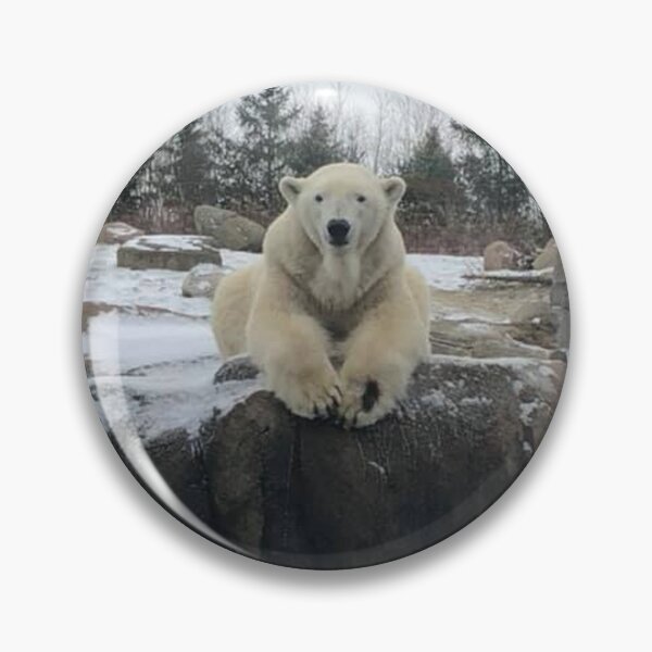 Item preview, Polar Bear designed and sold by Jesse-Motzart.