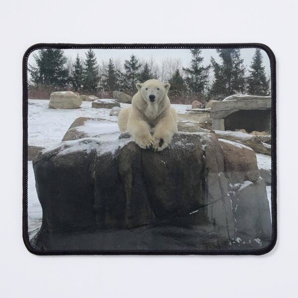 Item preview, Polar Bear designed and sold by Jesse-Motzart.