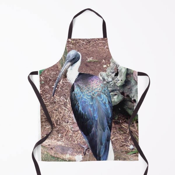Item preview, Straw-necked Ibis designed and sold by Jesse-Motzart.