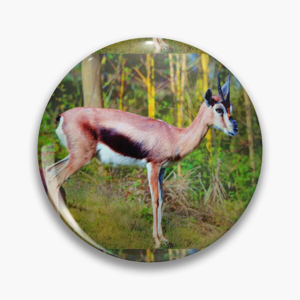 Artikelvorschau, Antilope entworfen und verkauft von Savannah Gibbs.