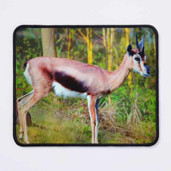Item preview, Antilope designed and sold by Savannah Gibbs.