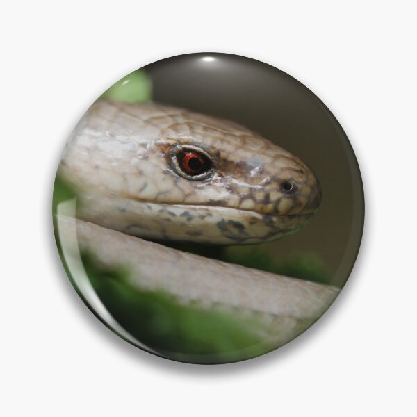 Item preview, Male Slow Worm (Anguis fragilis) designed and sold by Christian Moss.