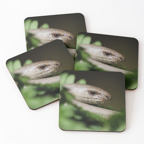 Item preview, Male Slow Worm (Anguis fragilis) designed and sold by Christian Moss.
