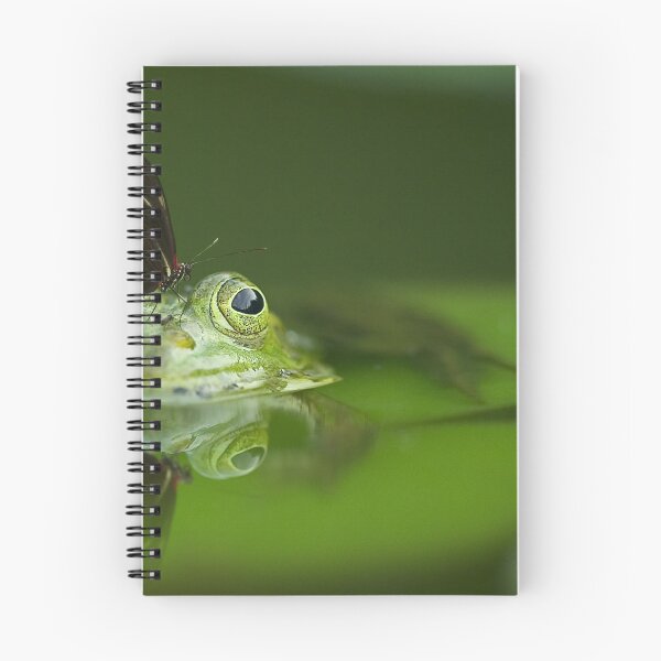 Item preview, Beautiful Butterfly on Frog in Swamp designed and sold by ridthestigma.